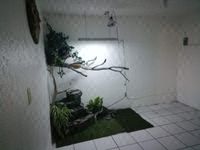 Departamento planta baja