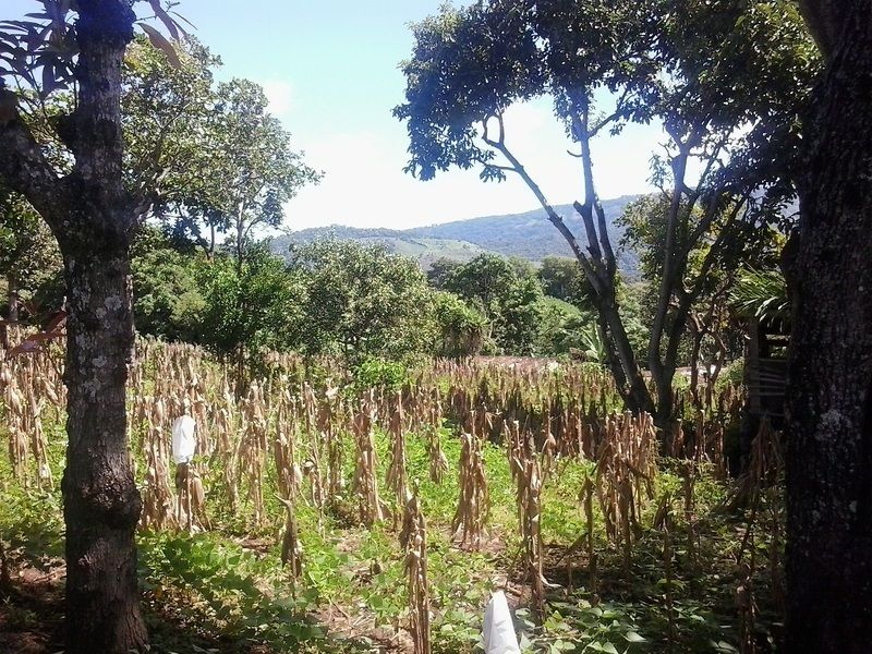 5 de 13