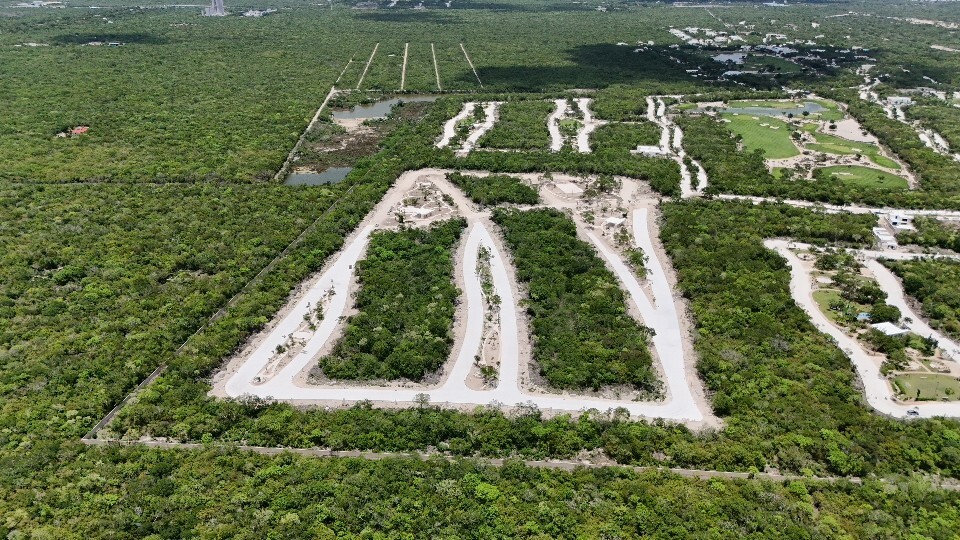 1 de 48