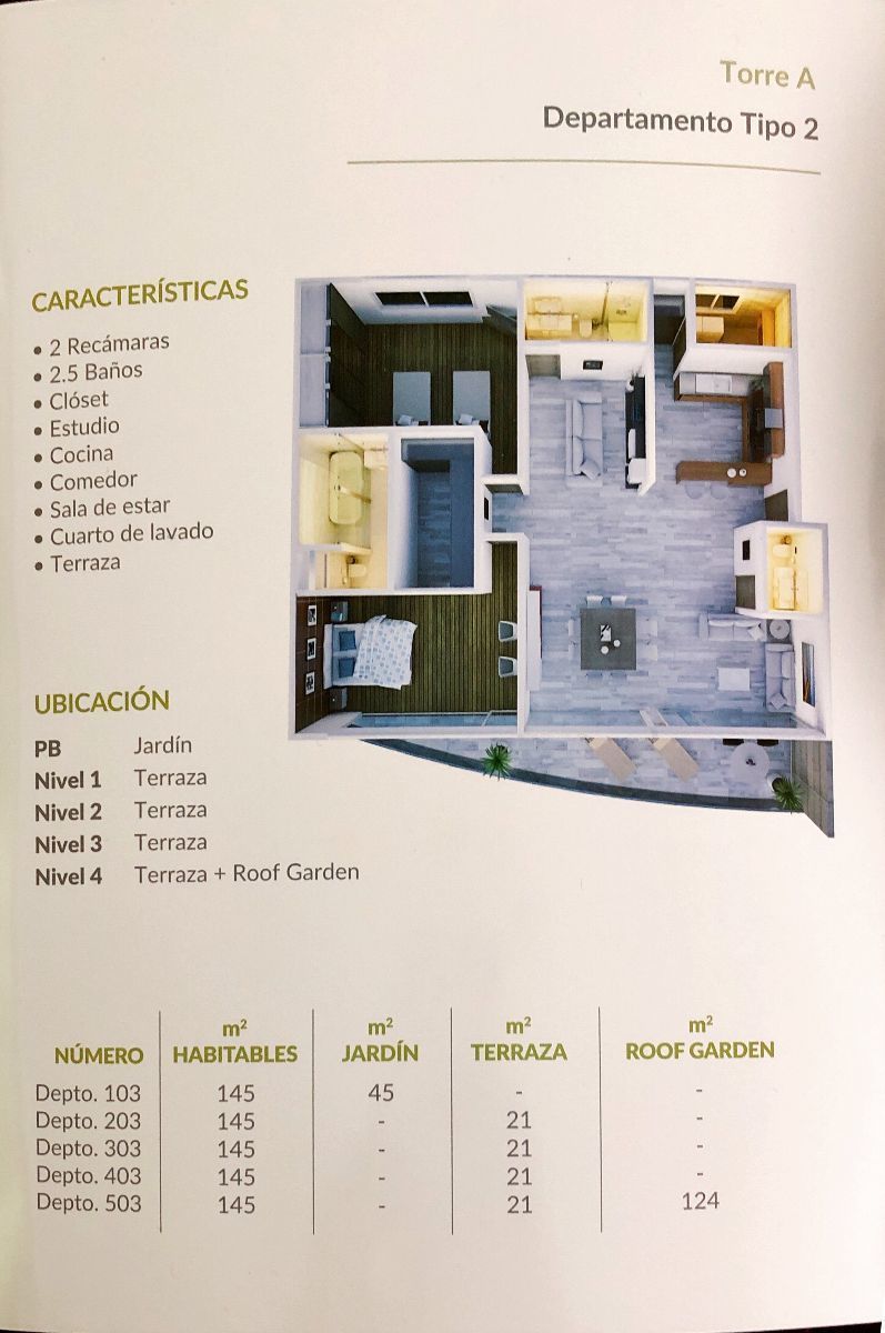 5 de 11