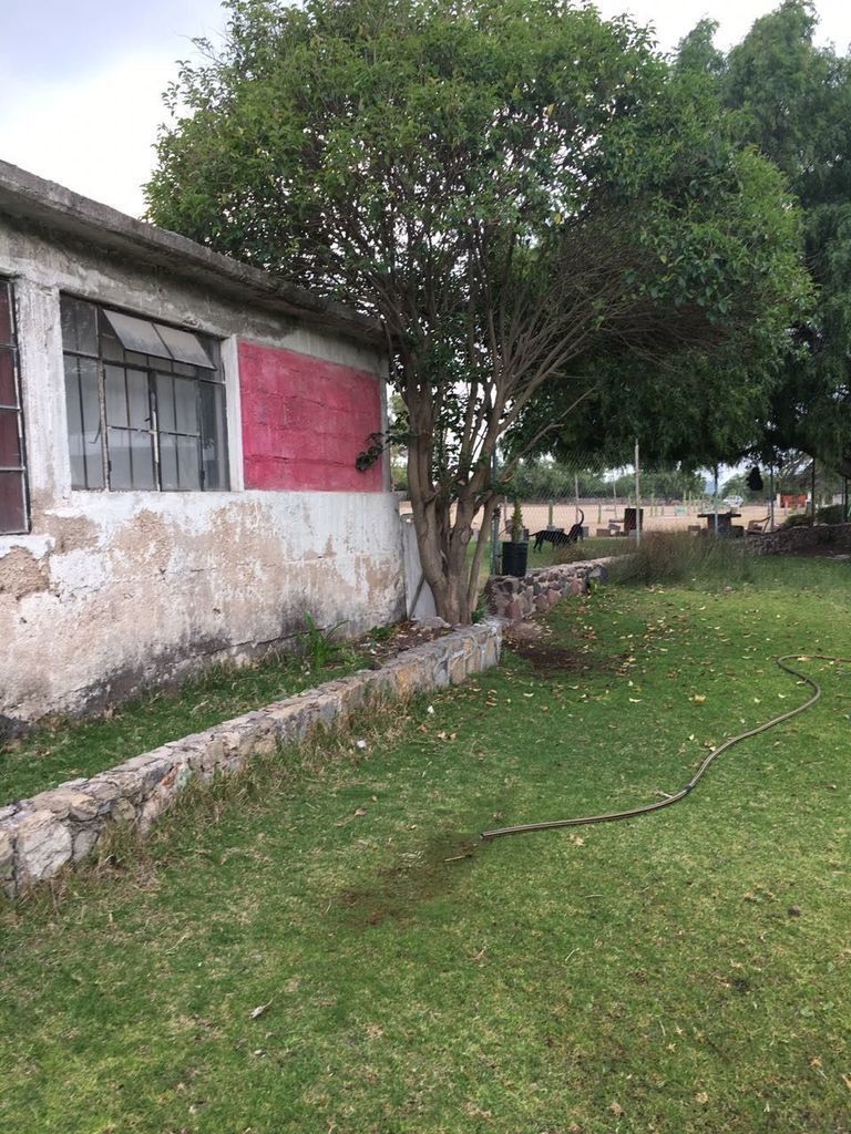 6 de 9
