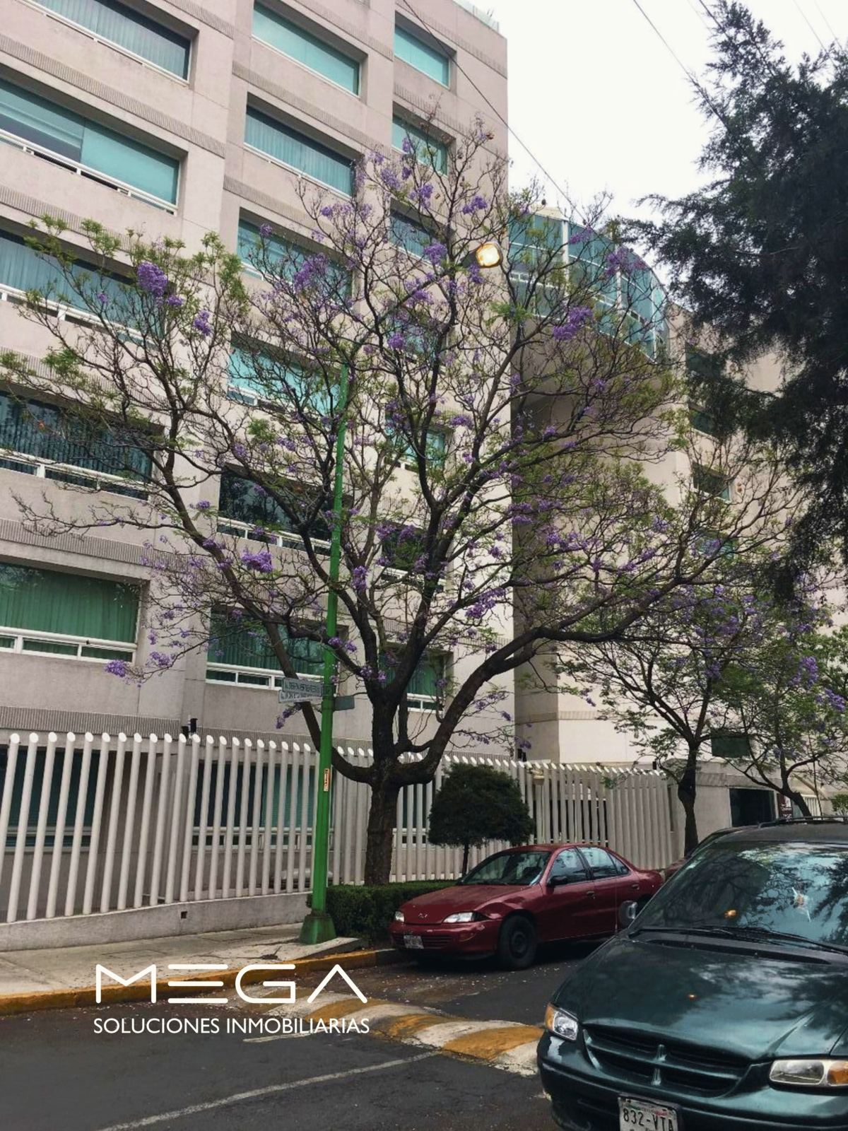 2 de 36