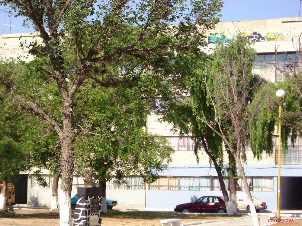 2 de 7: parque al frente 