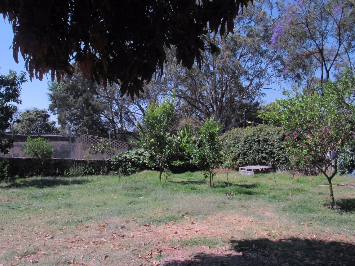 2 of 12: Jardín compartido