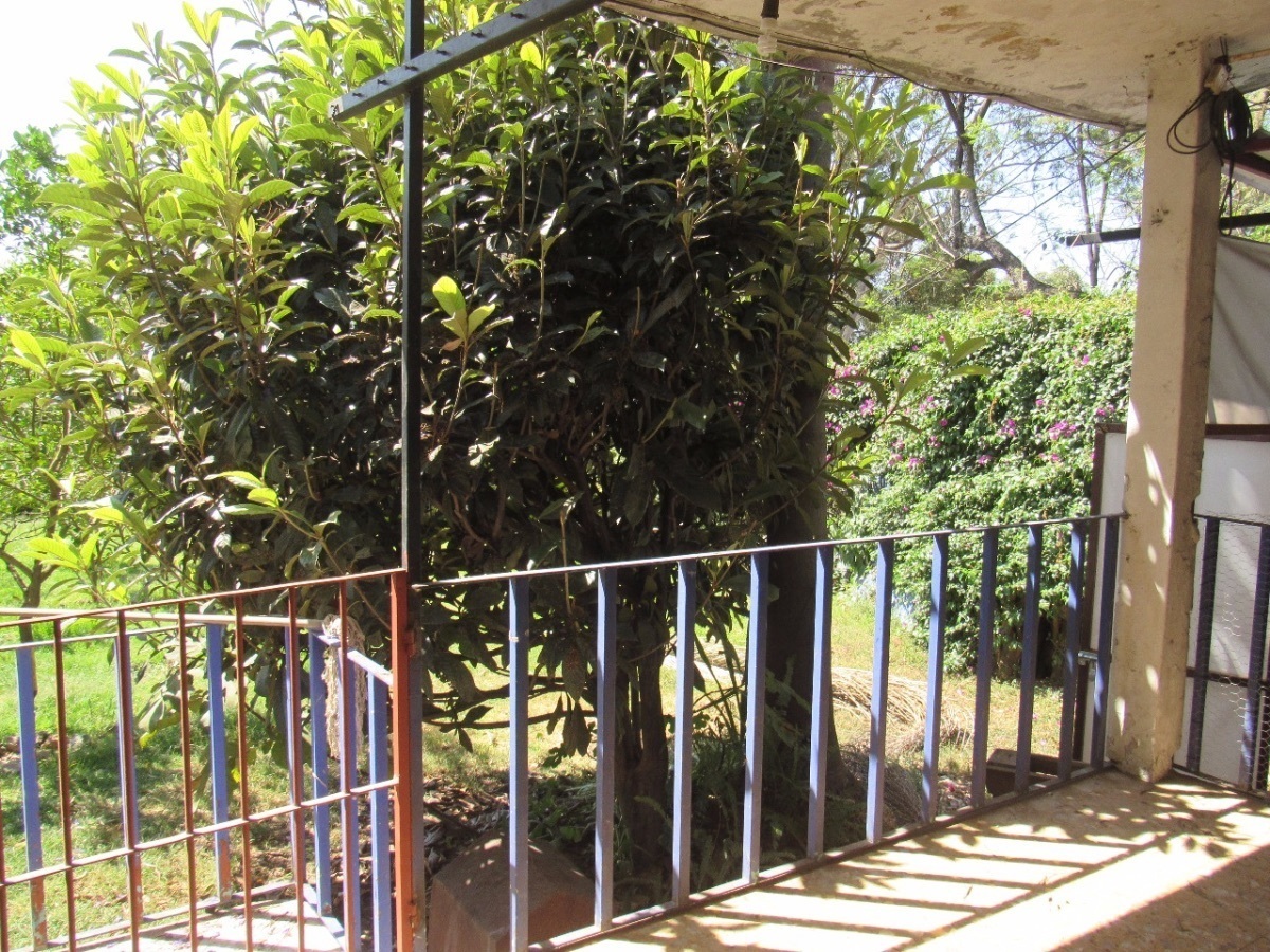 4 of 12: Terraza