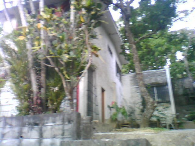 3 de 6