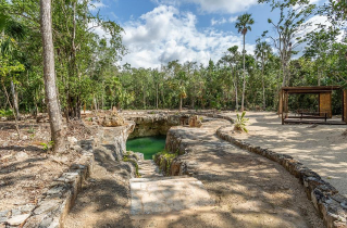 1 de 21: Cenote, acceso