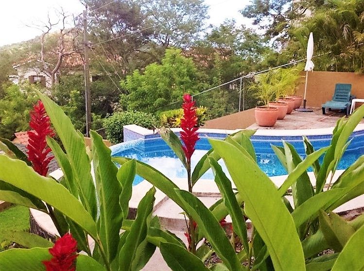 21 de 31: Yard w/automatic sprinkler, assorted flowers and palm trees