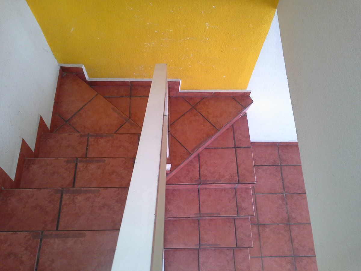 6 de 12