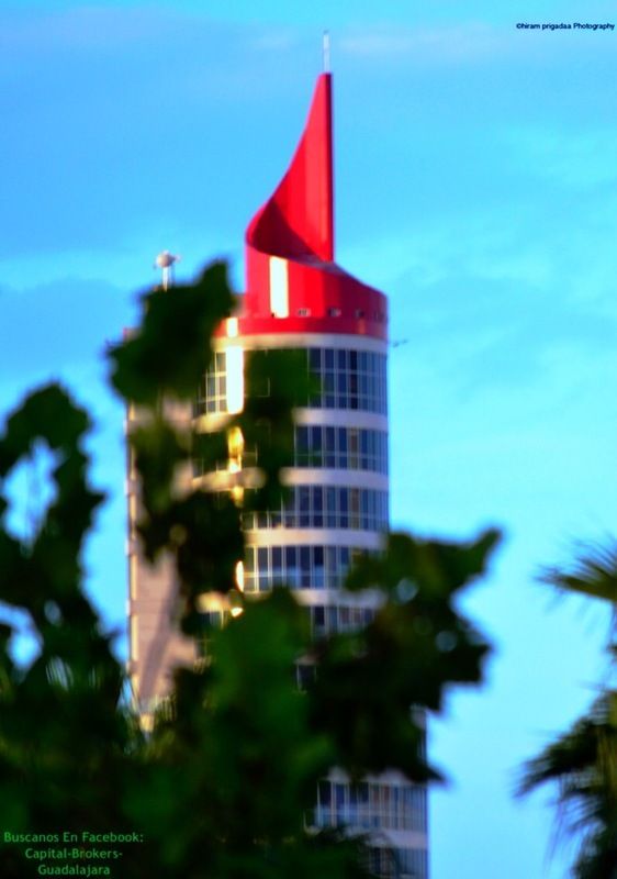 2 de 11