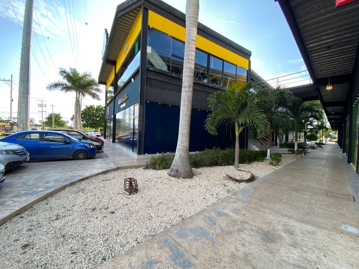 3 de 14
