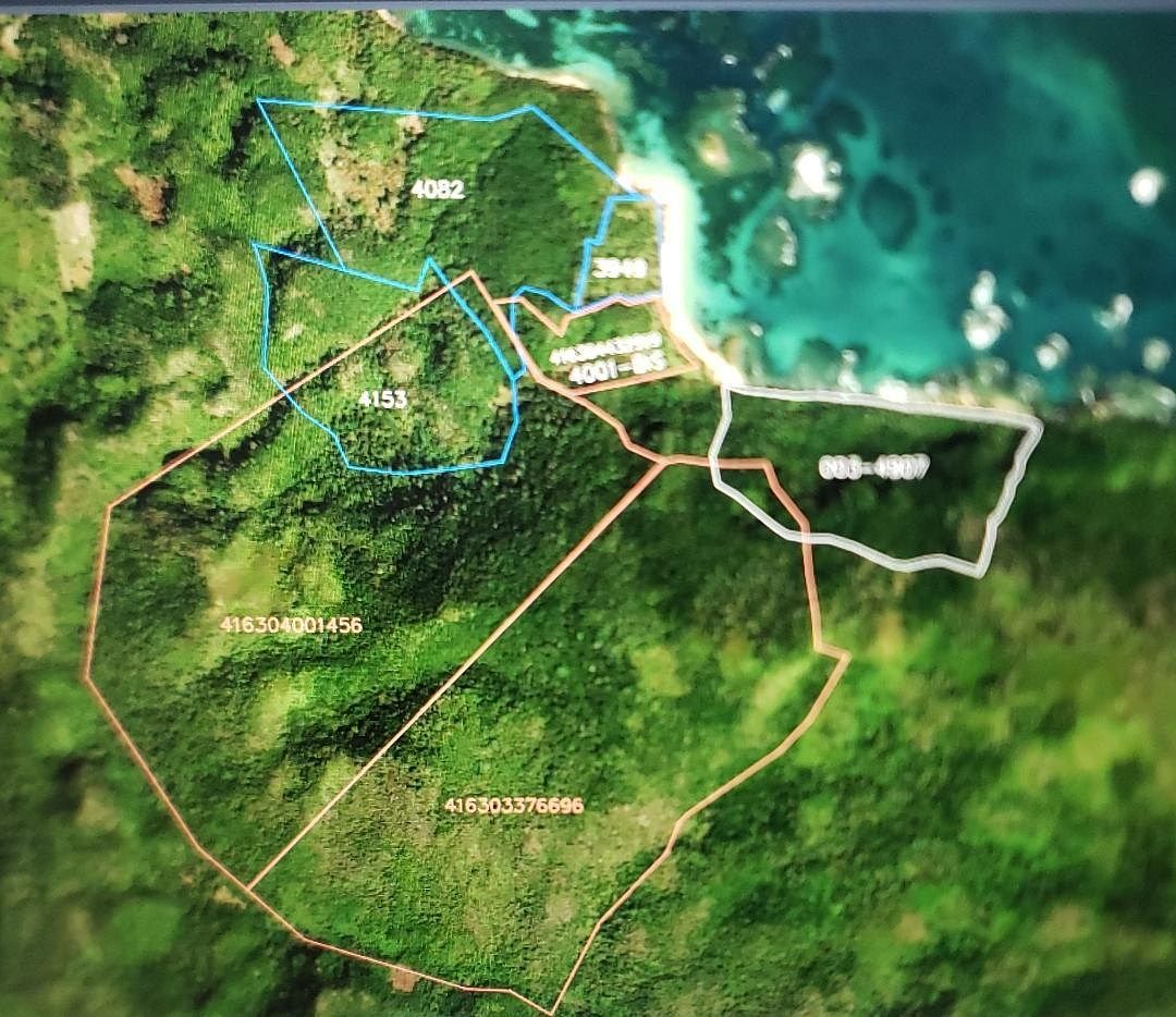 Terrenos en Venta El Limon, Samaná
