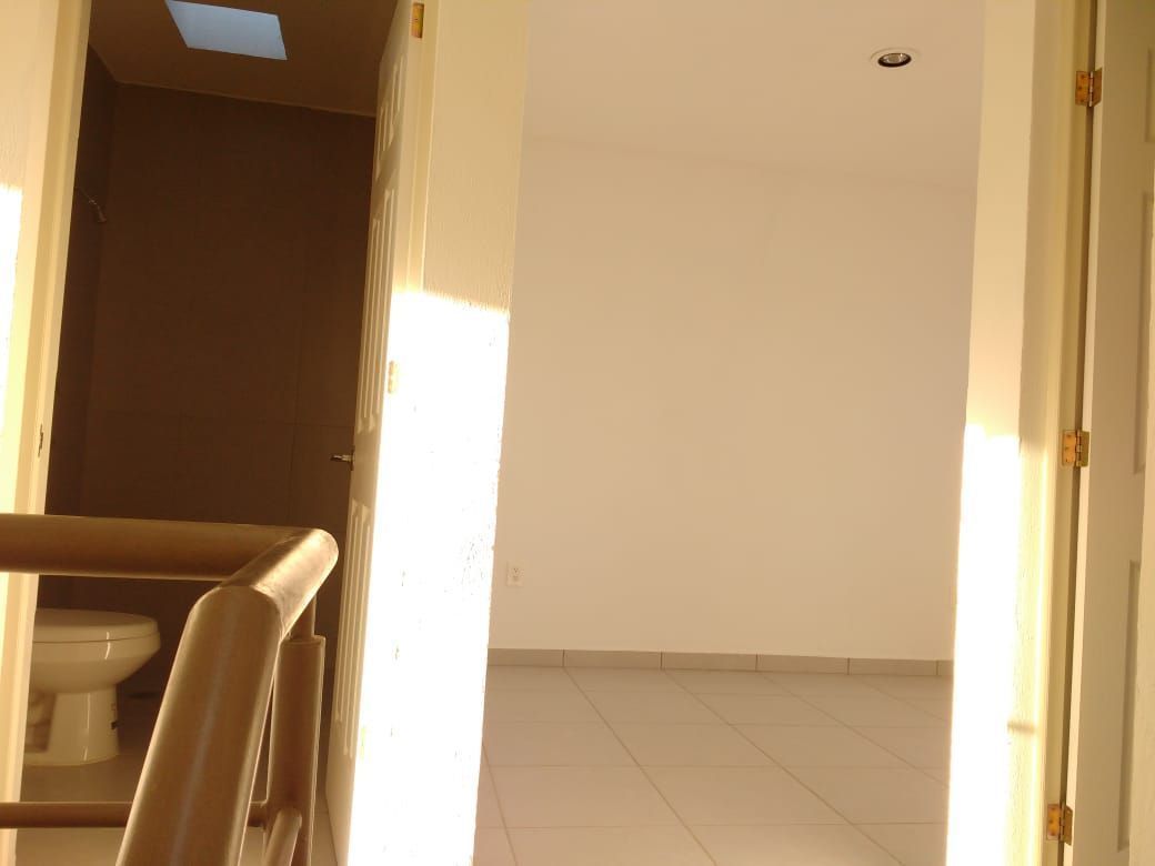 6 de 18: Distribuidor