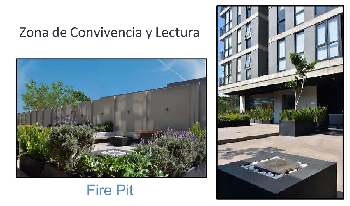 11 de 14